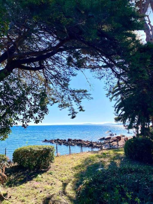 Studio Bord De Mer Boulouris A Saint Raphael ภายนอก รูปภาพ